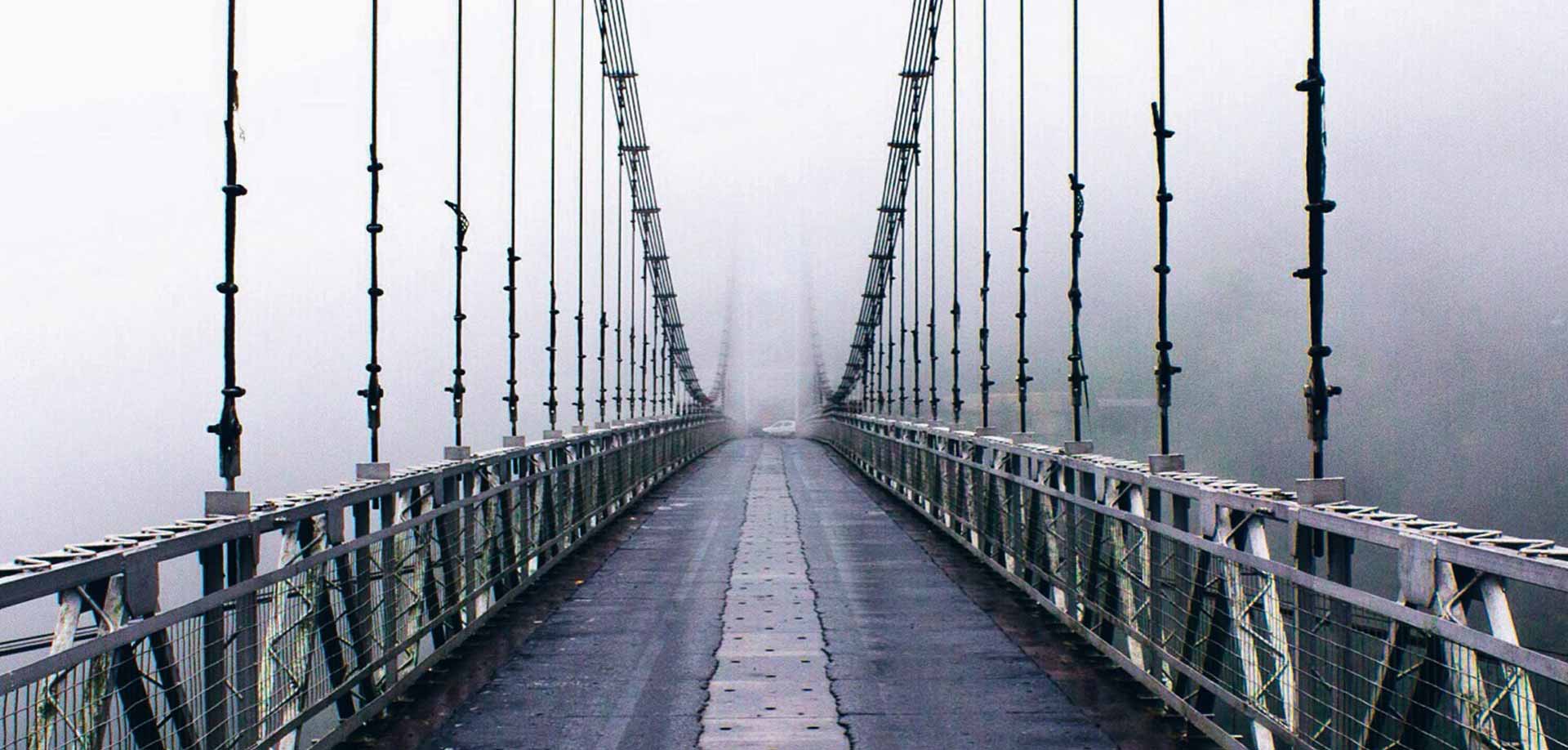 STEEL BRIDGE JOGIGHAT