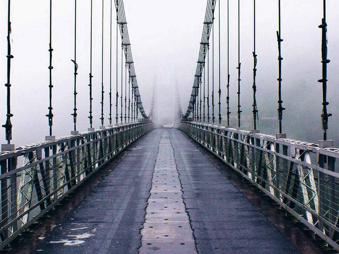 STEEL BRIDGE JOGIGHAT
