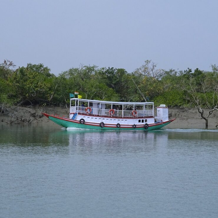 9 Things to Expect During an Exclusive Forest Tour of the Sundarbans