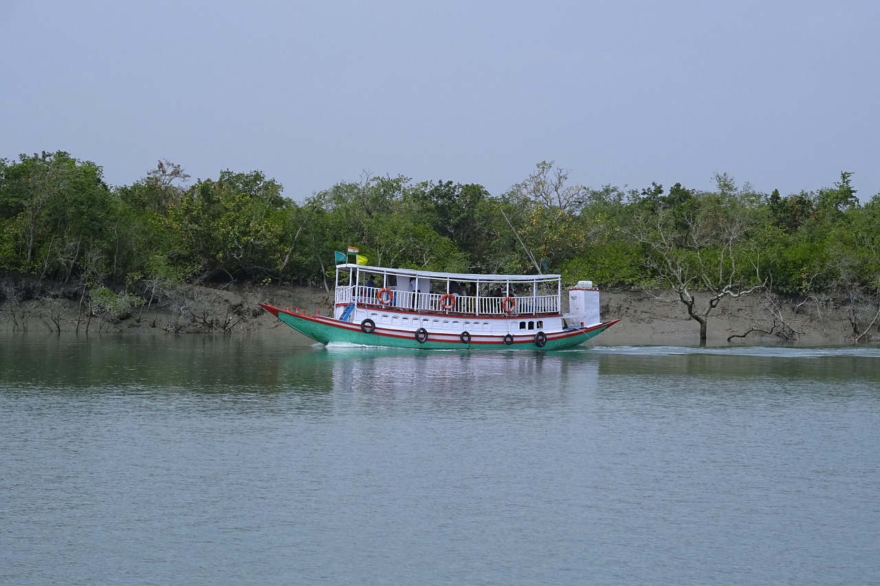 9 Things to Expect During an Exclusive Forest Tour of the Sundarbans