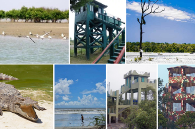 7 Top Places to Visit in the Sundarbans 
