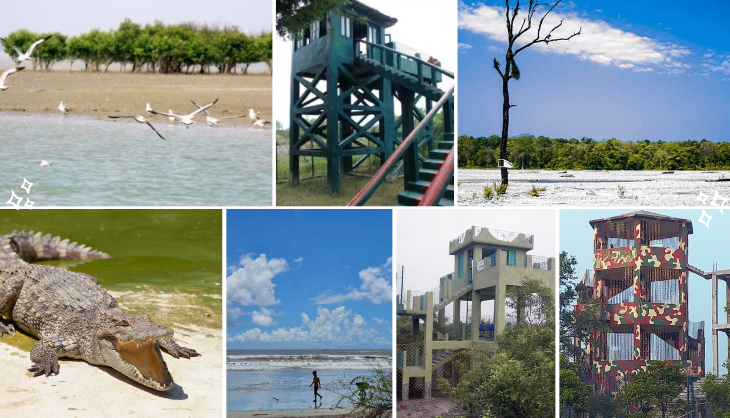 7 Top Places to Visit in the Sundarbans 