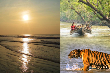 Which is Better Digha or Sundarbans?