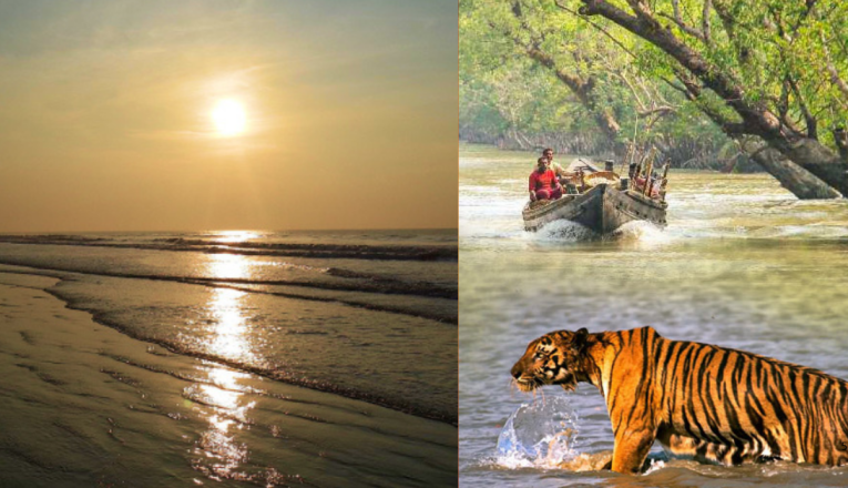 Which is Better Digha or Sundarbans?