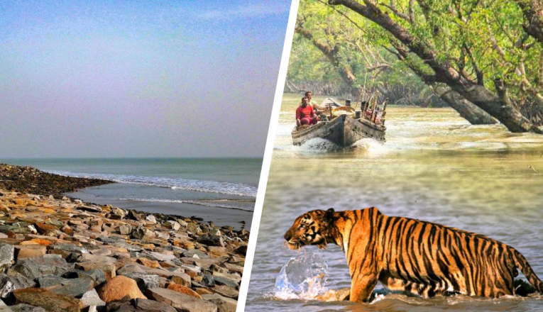 Which is Better Digha or Sundarbans?