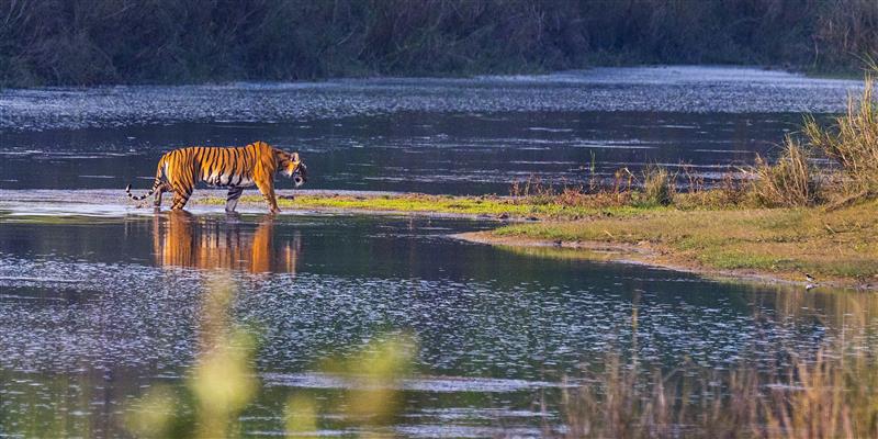 How Many Days Are Enough for a Trip to the Sundarbans? 
