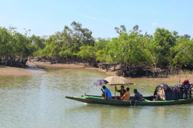 How Many Days Are Enough for a Trip to the Sundarbans? 