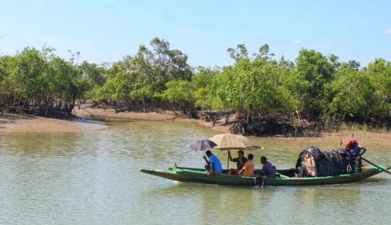 How Many Days Are Enough for a Trip to the Sundarbans? 