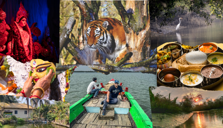 8 Reasons to Visit the Sundarbans During the Durga Puja Vacation