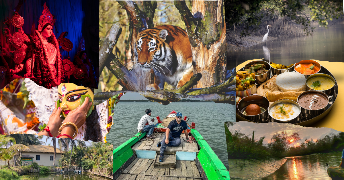 8 Reasons to Visit the Sundarbans During the Durga Puja Vacation