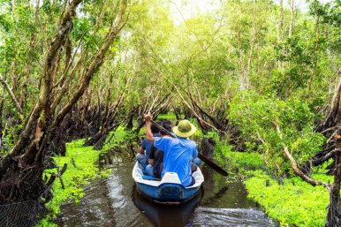 Sundarban Weekend Getaway:10 Fun Activities