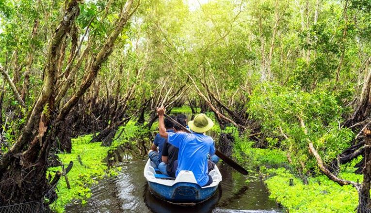Sundarban Weekend Getaway:10 Fun Activities