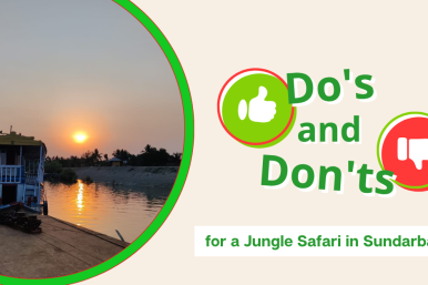 The Essential Do’s and Don’ts for a Jungle Safari in Sundarbans