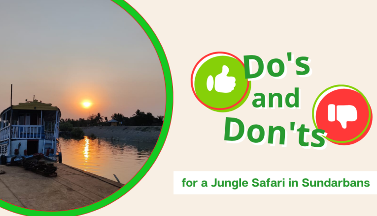 The Essential Do’s and Don’ts for a Jungle Safari in Sundarbans