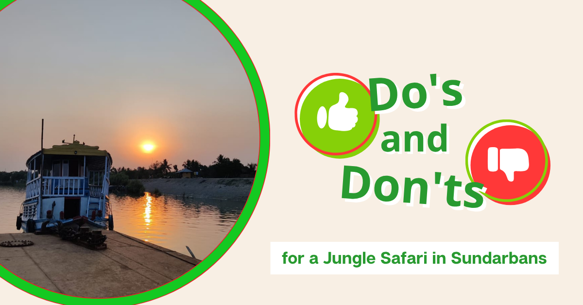 The Essential Do’s and Don’ts for a Jungle Safari in Sundarbans