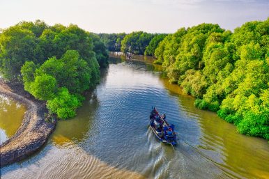 100+ Tips for Making your Sundarbans Tour Amazing