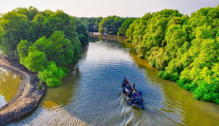 100+ Tips for Making your Sundarbans Tour Amazing