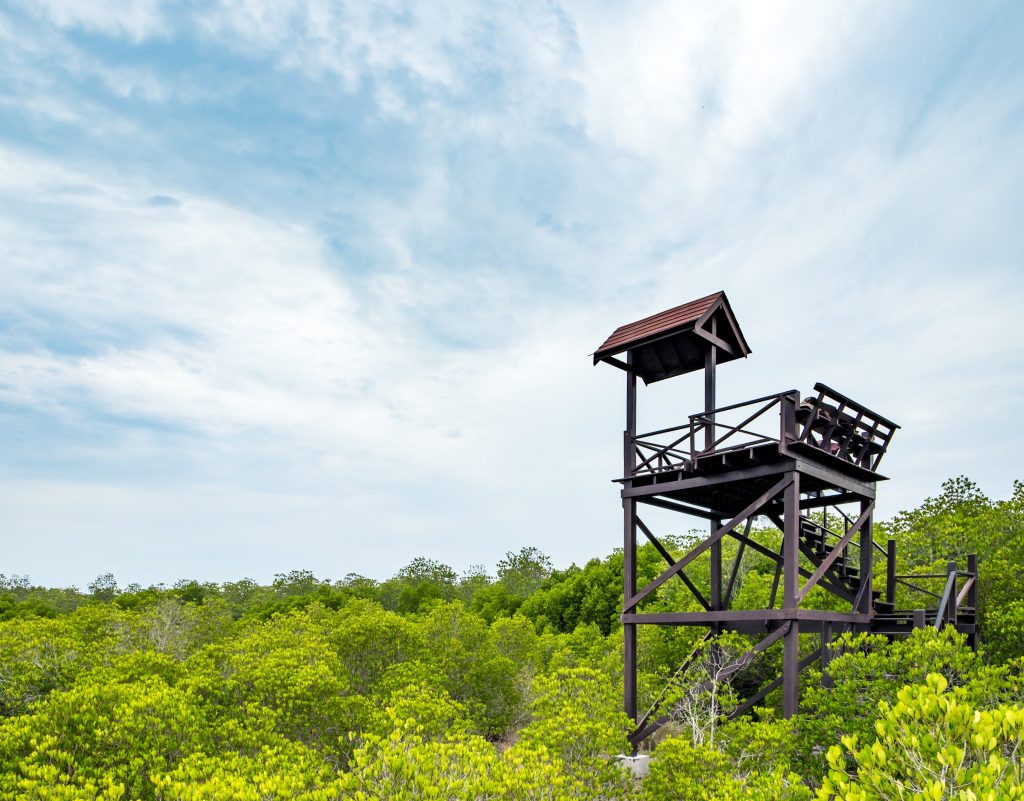 Sajnekhali Watch Tower