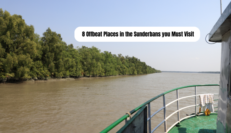 Top 8 Offbeat Places in the Sunderbans you Must Visit