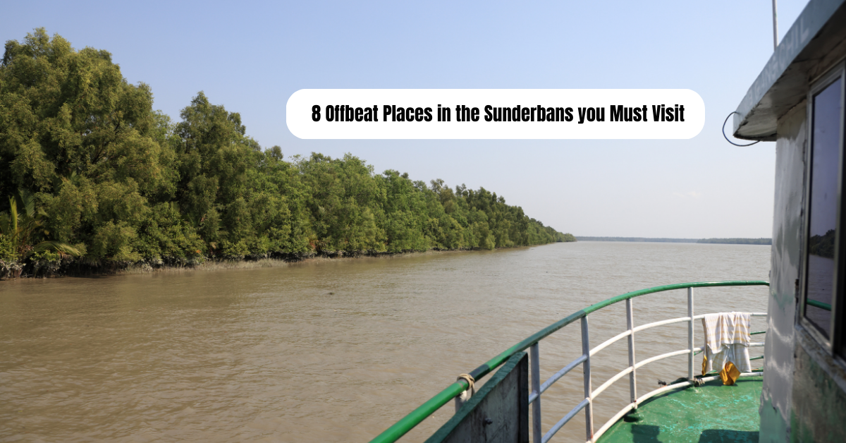 Top 8 Offbeat Places in the Sunderbans you Must Visit