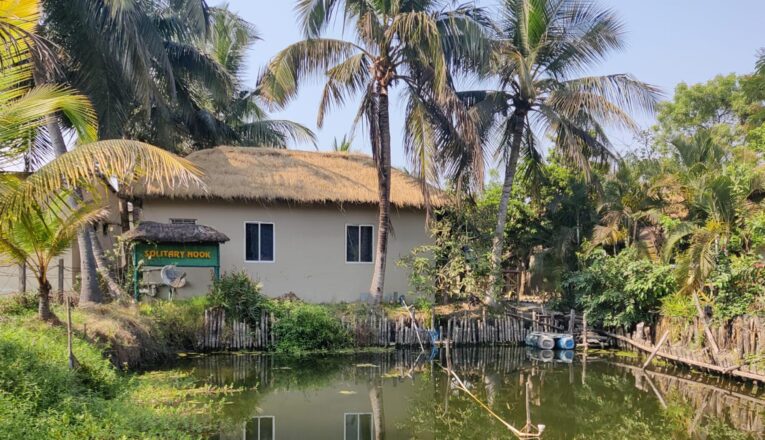 Best Resorts in Sundarbans: Luxury vs Budget friendly-Which One To Choose?