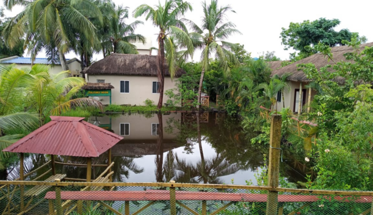 How to Make a Hassle-Free Reservation at Sundarbans’s Best Resort in Winter
