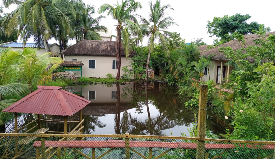 How to Make a Hassle-Free Reservation at Sundarbans’s Best Resort in Winter