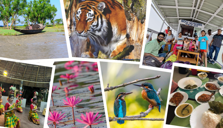 Top Exciting Activities to do on your Sundarbans tour in December with Solitary Nook