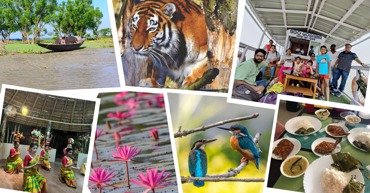Top Exciting Activities to do on your Sundarbans tour in December with Solitary Nook